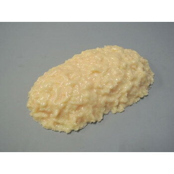 （同梱不可） 脂肪模型　2kg　IP-971 2kgの人体脂肪模型!