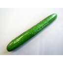 (同梱不可) 日本職人が作る 食品サンプル きゅうり IP-359 日本職人がつくる。とってもリアルな食品サンプル