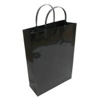 ��ߥ͡��ȥХå���A4���֥�å���10�� W260��H360��D100mm LBA4-BL�ڥ��ҥ�湩��