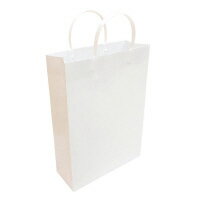 ��ߥ͡��ȥХå���A4���ۥ磻�ȡ�10�� W260��H360��D100mm LBA4-WH�ڥ��ҥ�湩��