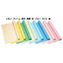 色模造紙中厚口 10枚 りんどう 40【ゴークラ】
