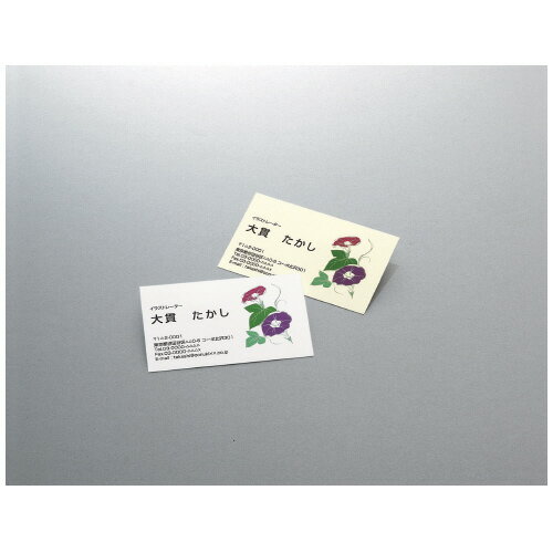 �ڤ椦�ѥ��å��б��ġۥޥ���ץ����̾���ѻ桡ξ�����̻桡ɸ�ࡡ10�̡�10�硿�ޡ��ʥ������� KPC-VE10W�ڥ������