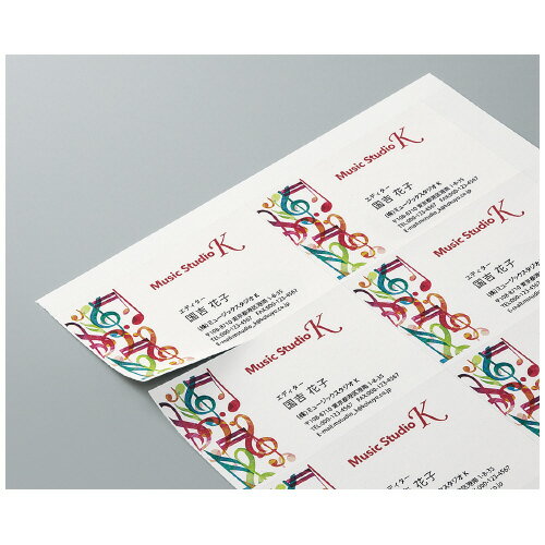 �ڤ椦�ѥ��å��б��ġ�̾�ɥ����ɡ������桡10�硡���顼�졼���������󥯥����å��� LBP-VE10�ڥ������