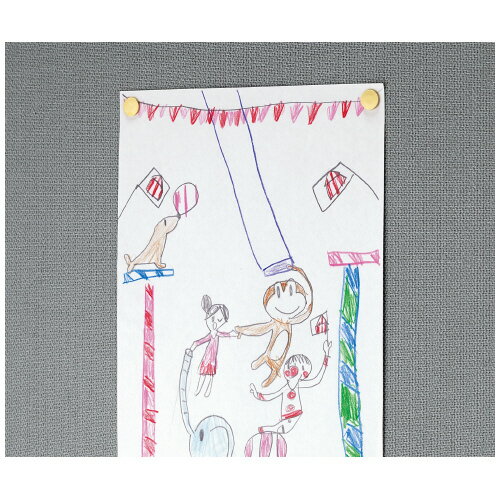 ��Ų��ơ��ץ饱����������60������������� ����-2N�ڥ������