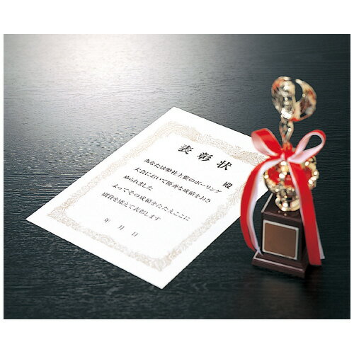 【ゆうパケット対応可】賞状用紙（OA対応）　ヨコ書き用（タテ型）　10枚入　A4 カ-SJ214【コクヨ】