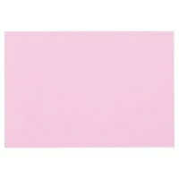 再生色画用紙 8ツ切 10枚 さくら 【大王製紙】