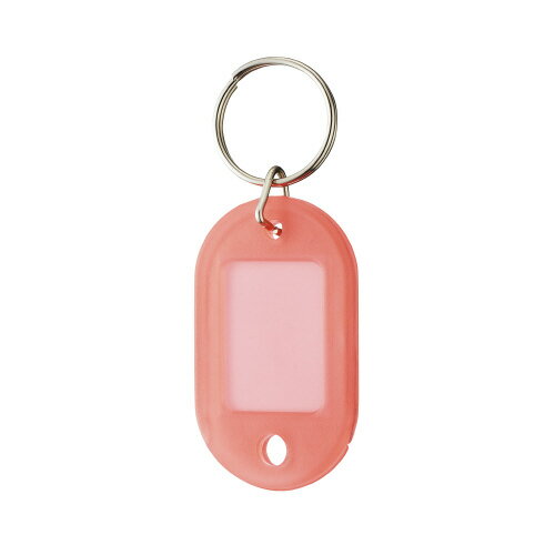 【ゆうパケット対応可】 キーホルダー名札（5色パック）　小　1セット（10個入×2）4223-2636【カウネット】