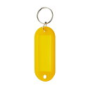【ゆうパケット対応可】 キーホルダー名札(5色パック) 大 1セット(10個入×2)4223-2704【カウネット】