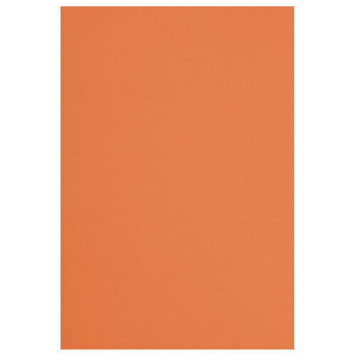 色画用紙　八つ切　橙　100枚4226-9335【カウネット】