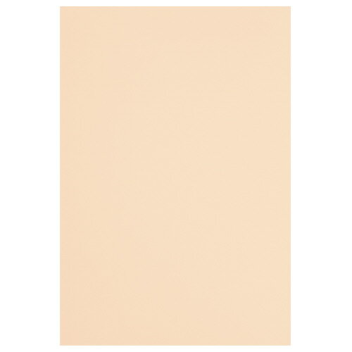 ●古紙配合紙●鮮やかな色と適度な厚みで図画工作におすすめ！●サイズ/四ツ切（542×392m）●紙厚/122g/平方メートル（約0.18mm）●100枚入り●色/肌色（薄橙）k6533-7745