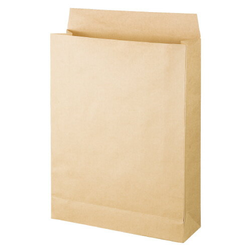 マチ広宅配袋100g　大　ラミネート付　50枚4154-5300【カウネット】