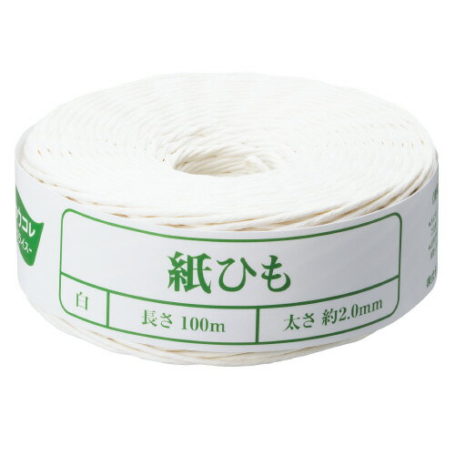 パ）紙ひも 白 100m 10巻4208-7847【カウネット】