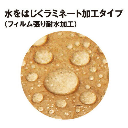 �ѡ������ޡ��硡��ߥ͡����ա�50���44175-5105�ڥ����ͥåȡ�