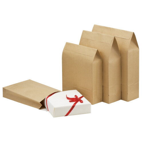 宅配袋　小　50枚4154-5454【カウネット】 3