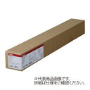 キヤノン 大判プリンタ用紙 コート紙2 LFP−CP2/A1/95LFM-CP2/A1/95【キヤノン】