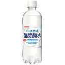 ※伊賀の天然水強炭酸水 PET 500mL 24本 【日本サンガリア】※軽減税率対象商品