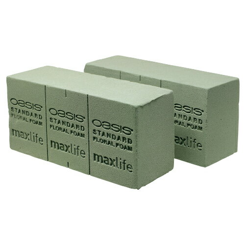 オアシス　フローラルフォーム（2個）15010004【スミザーズオアシス】