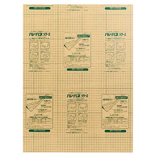 ハレパネソラーズ ASRL2-5【プラチナ万年筆】 【メーカー直送品】【時間指定不可・夜間配送不可】【平日配送のみ】