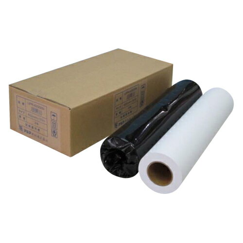 大判インクジェット用紙普通紙エコノミ2本IJPR-4250EN【アジア原紙】