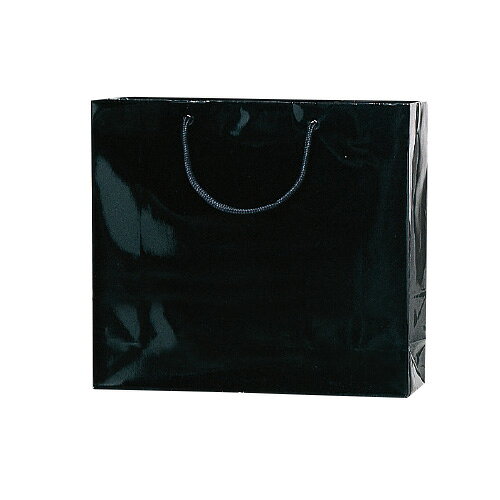 ֥饤ȥХåGM006137900ڥ⥸ޡ