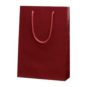 ブライトバック SWT エンジ※1枚006138202【シモジマ】