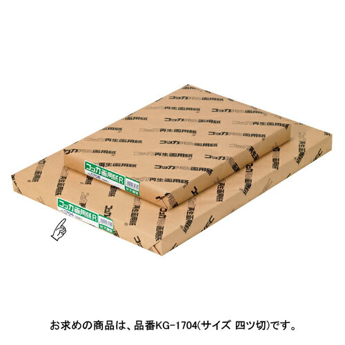 コッカ画用紙NO．1704　100枚入KG-1704【文運堂】