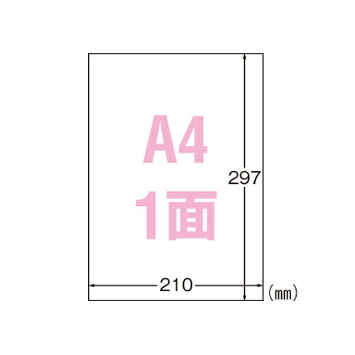 ●入数：10枚 ●本体サイズ：縦297×横210mm ●規格：A4判1面●寸法：縦297×横210mm●紙種：ポリエステルフィルム＋レーザー専用塗工●総紙厚：0．14mm●対応プリンタ：モノクロレーザー，カラーレーザー，モノクロコピー，カラーコピーo12528