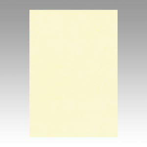 ●入数：100枚 ●本体サイズ：縦392×横271mm ●坪量：122．1g／m2o71864