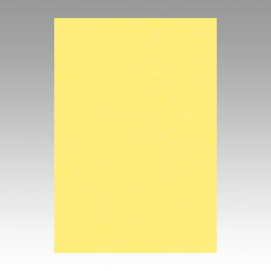 ニューカラー8切100枚　きいろGO8NCR-108【リンテック】