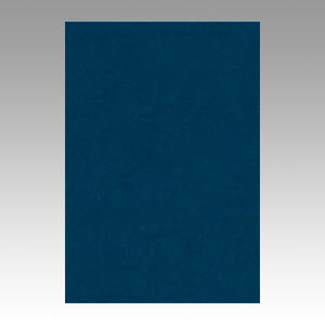 ニューカラー8切100枚　こんいろGO8NCR-331【リンテック】