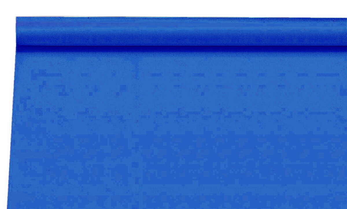 ●ジャンボロール画用紙 青 10m