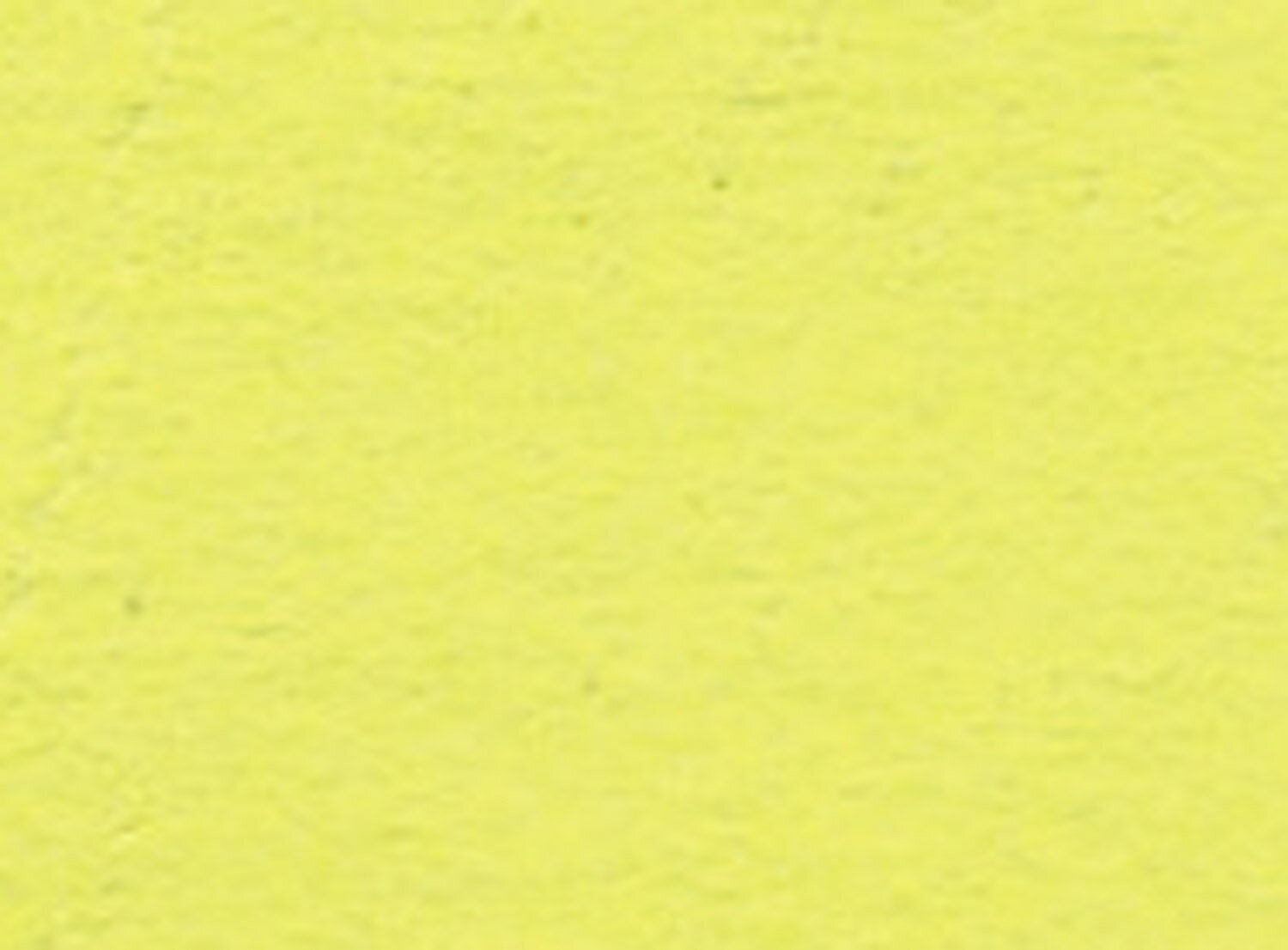 ニューカラー4切 10枚 2004 フラッシュレモン