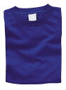 カラーTシャツ L 032 ロイヤルブルー