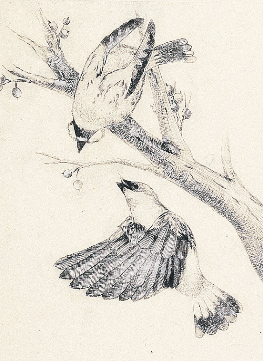 PP板 大(480x360x0.5mm)