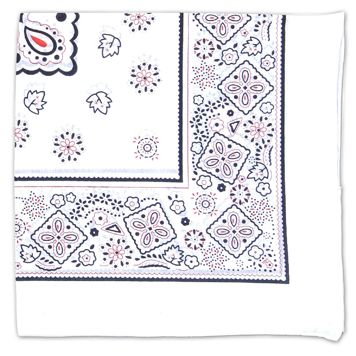 �Х���� ��