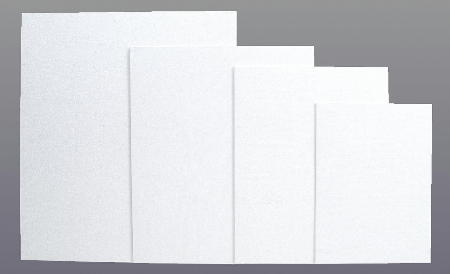 布キャンバスボード F6