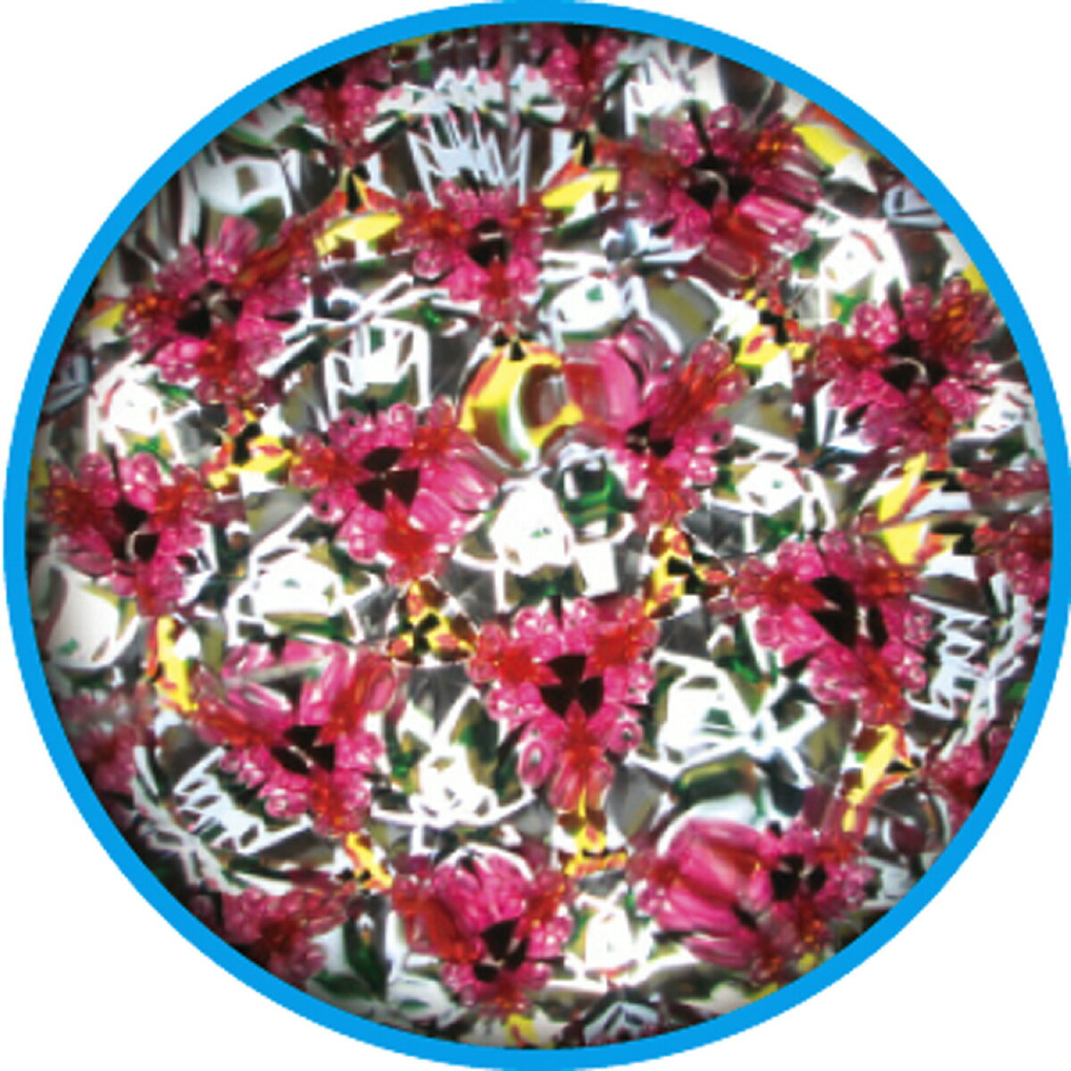 ̱��(�ǥ�����)�ޤ󤲤��礦