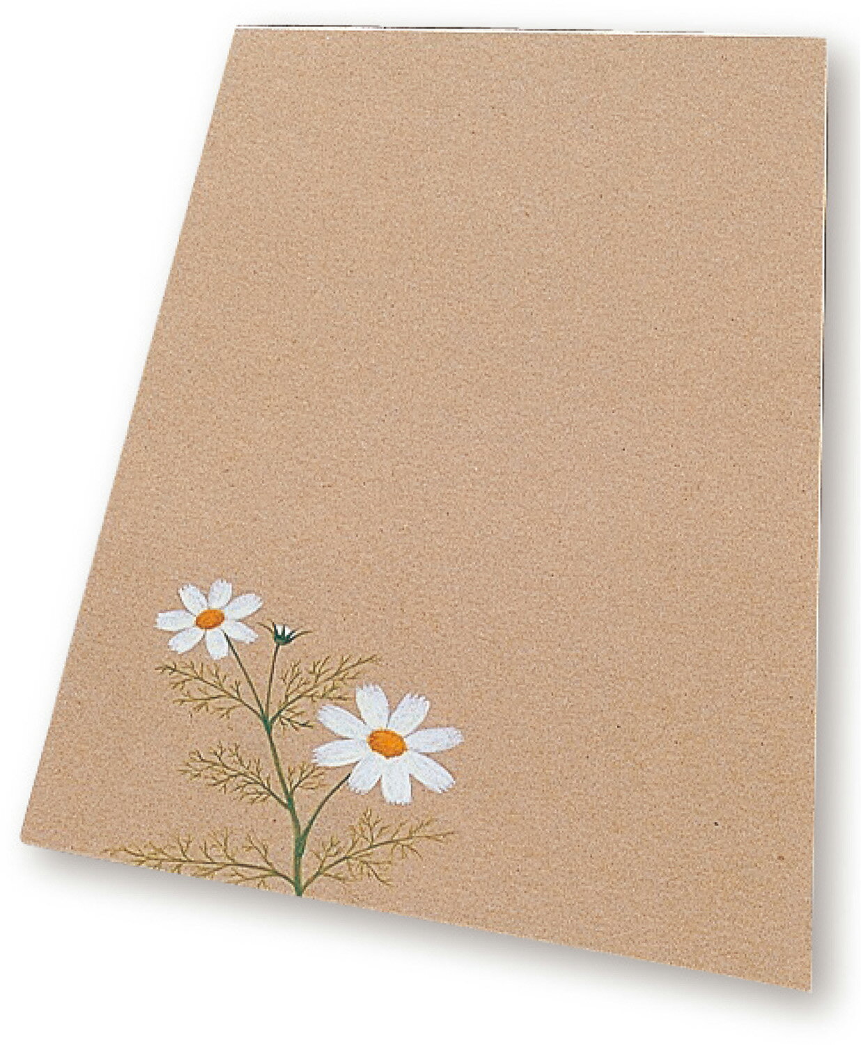 黄ボール紙 4切(20枚組)