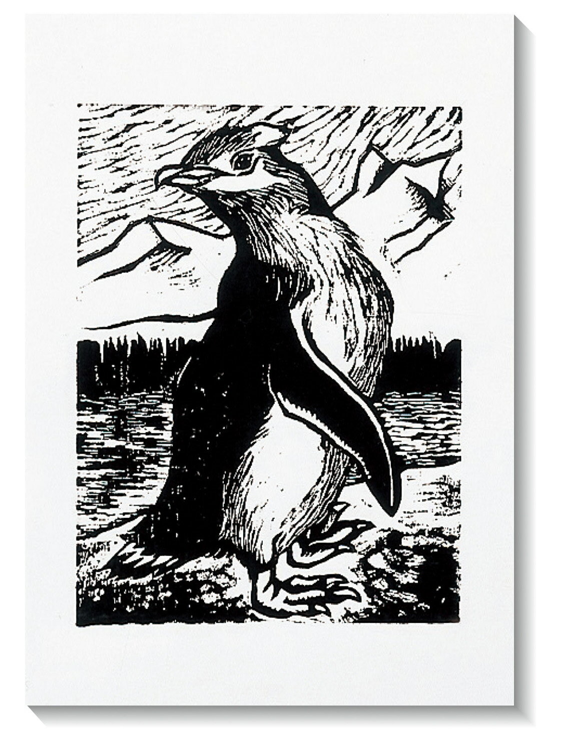 非常に吸い取りがよく、インキがきれいにのります。特厚紙なので紙にコシがあり、裏貼りなしでも展示できます。540×390mm100枚組自然な白で、落ち着きのある刷り上がりになります。