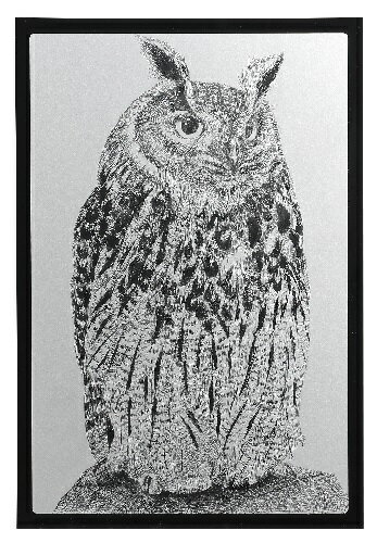 スクラッチすると黒色が出てくる銀色のスクラッチボードです。商品サイズ／215×315×1mm1個重量／65g材質／紙セット内容／本体×11個梱包形態／袋入