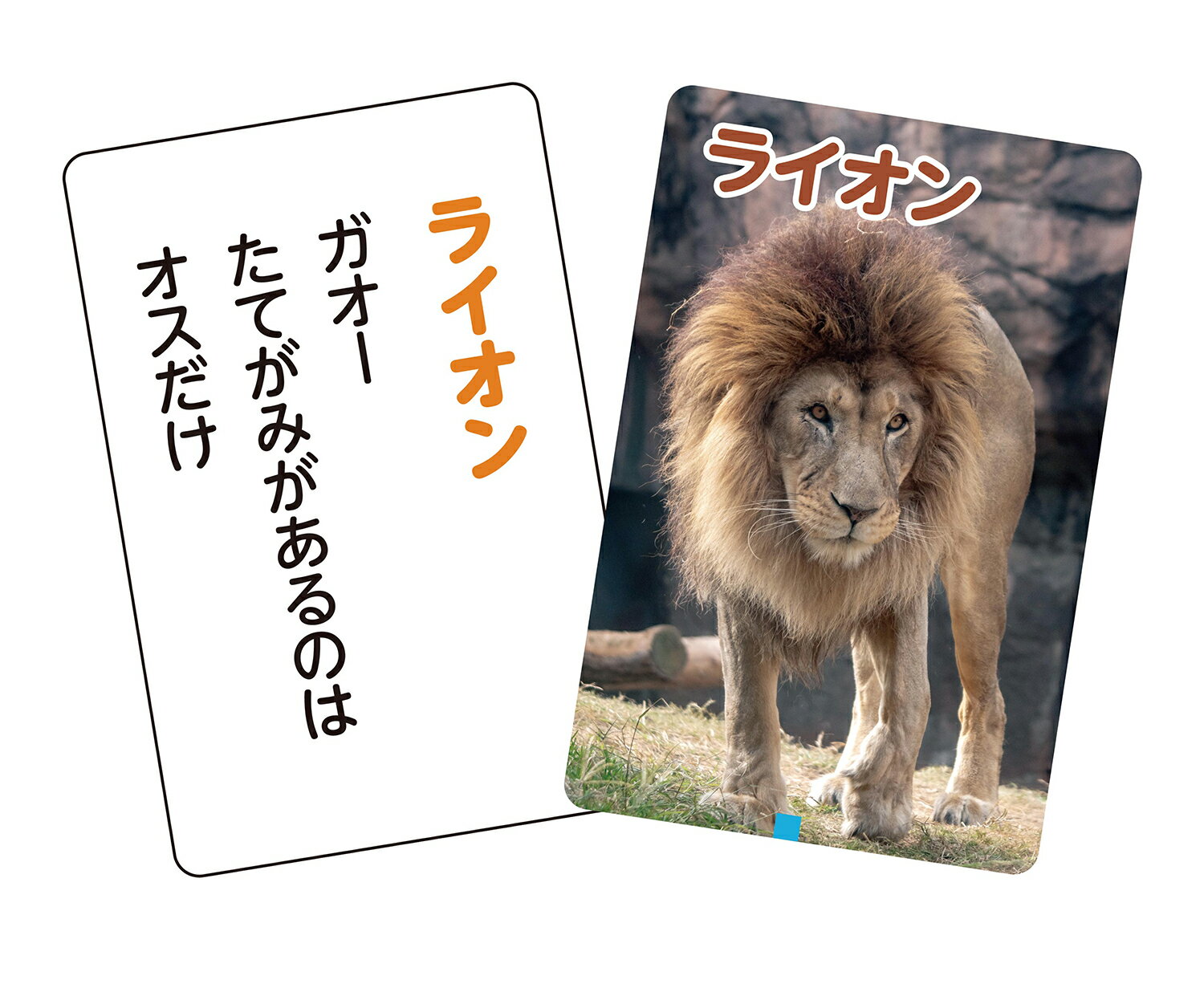 これはなんの音?かるた〜いきもの〜【アーテック】