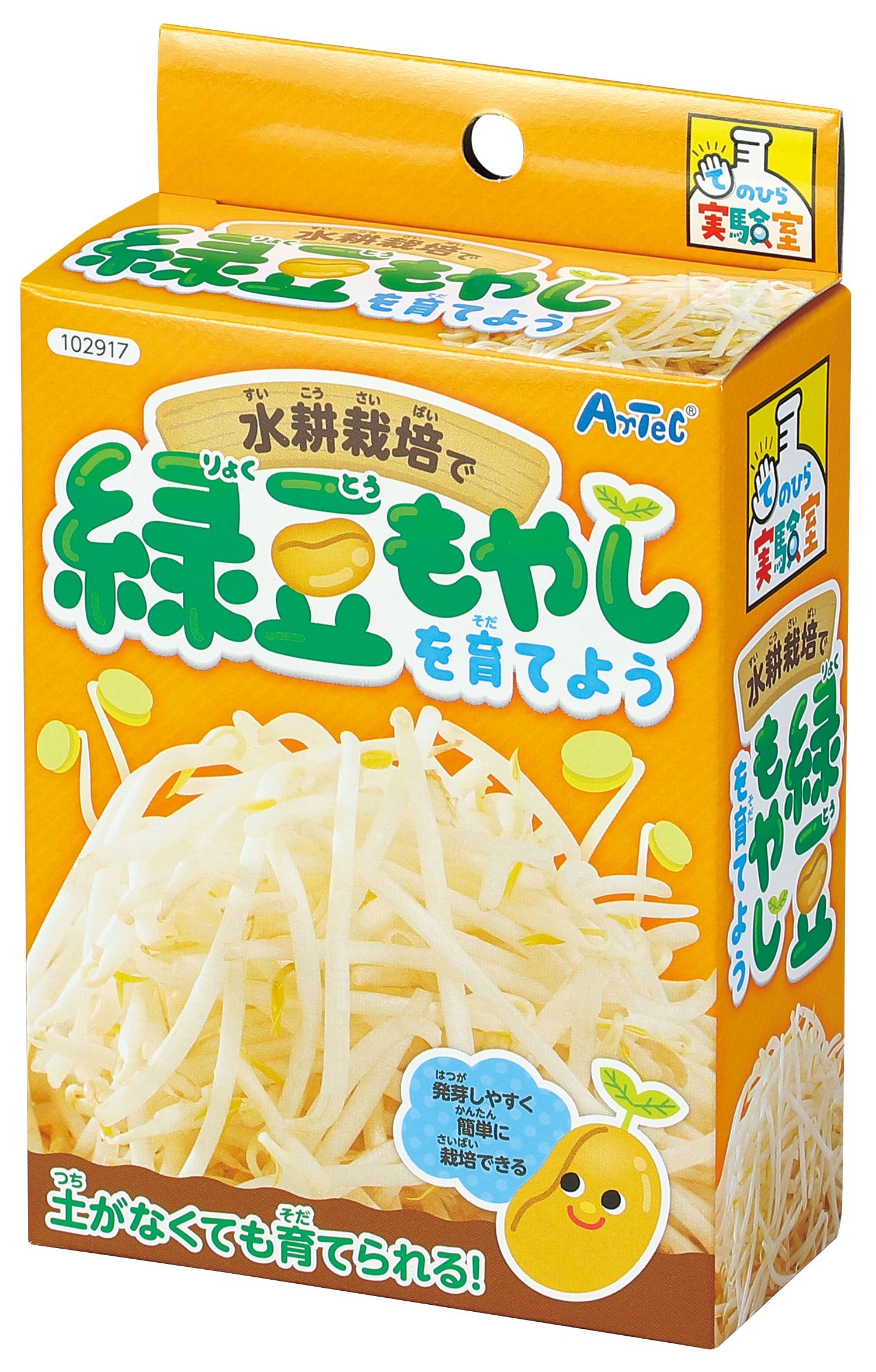 水耕栽培で緑豆もやしを育てよう【アーテック】
