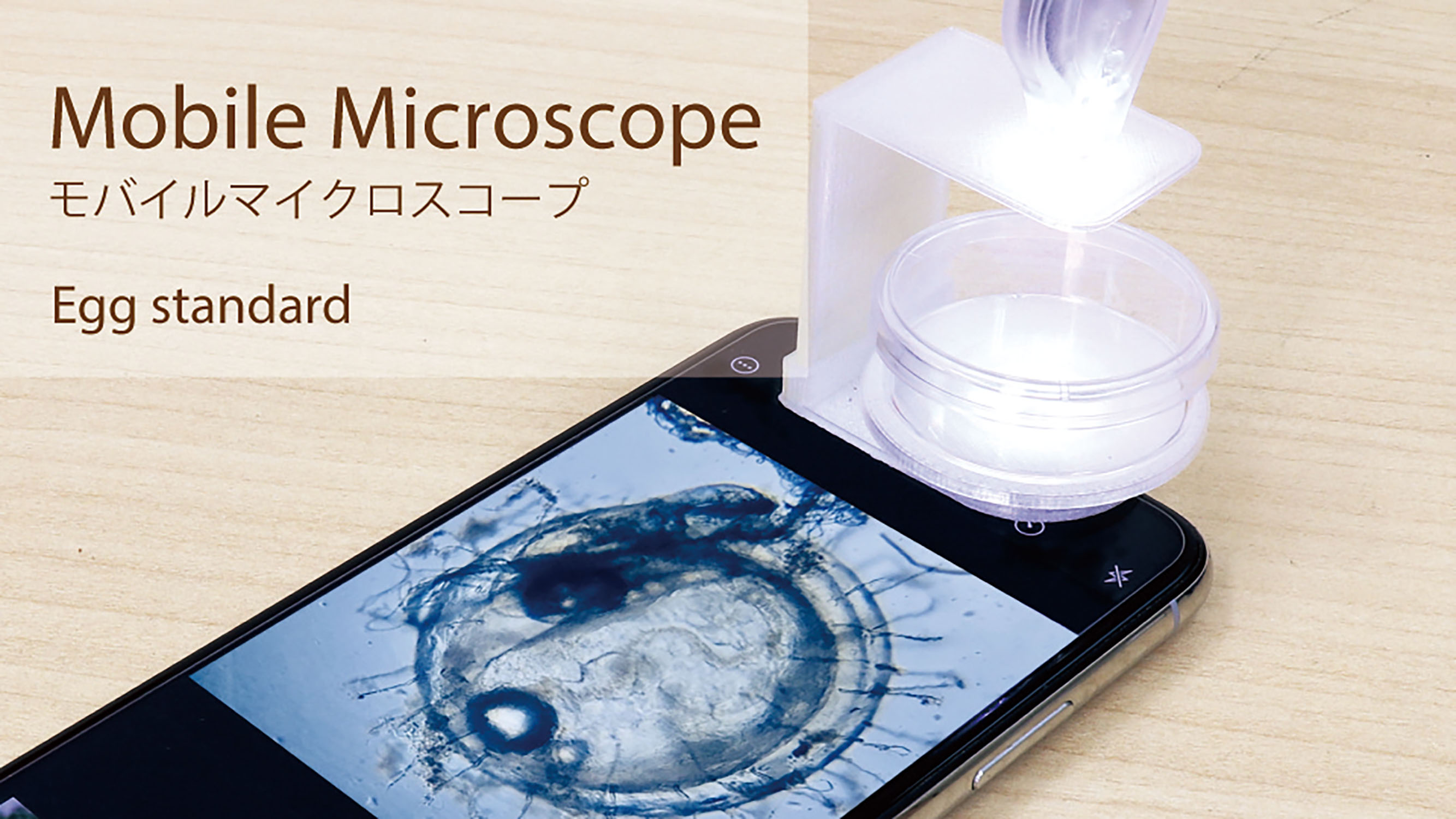 モバイルマイクロスコープ80倍(エッヅスタンダード)【ドリームズ】