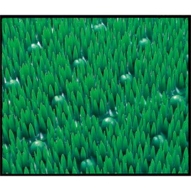 テラエルボー900×1500mmMR0520521【テラモト】 [2]