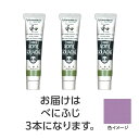 【ゆうパケット対応可】ターナー アクリルガッシュ ジャパネスクカラーシリーズ 20ml 360べにふじ 3個【ターナー色彩】(4)