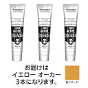 ターナー アクリルガッシュ 100ml 32イエローオーカー 3個【ターナー色彩】(4)
