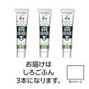 【ゆうパケット対応可】ターナー アクリルガッシュ ジャパネスクカラーシリーズ 20ml 300 しろごふん 3個【ターナー色彩】