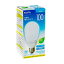 ƱԲġELPAŵ巿ָA100W E26 EFA25ED/21-A101H