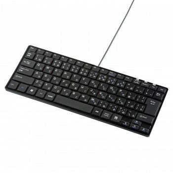 (同梱不可) サンワサプライ USBスリムキーボード テンキーなし ブラック SKB-SL18BKN 無駄を省いた薄型&コンパクトキーボード