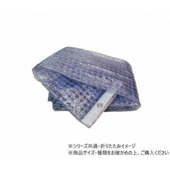 （同梱不可） HE-2500M-C ビニールカーテン防炎 4.0×2.0上面ハトメ 00058081-001 糸入りのビニールカーテン